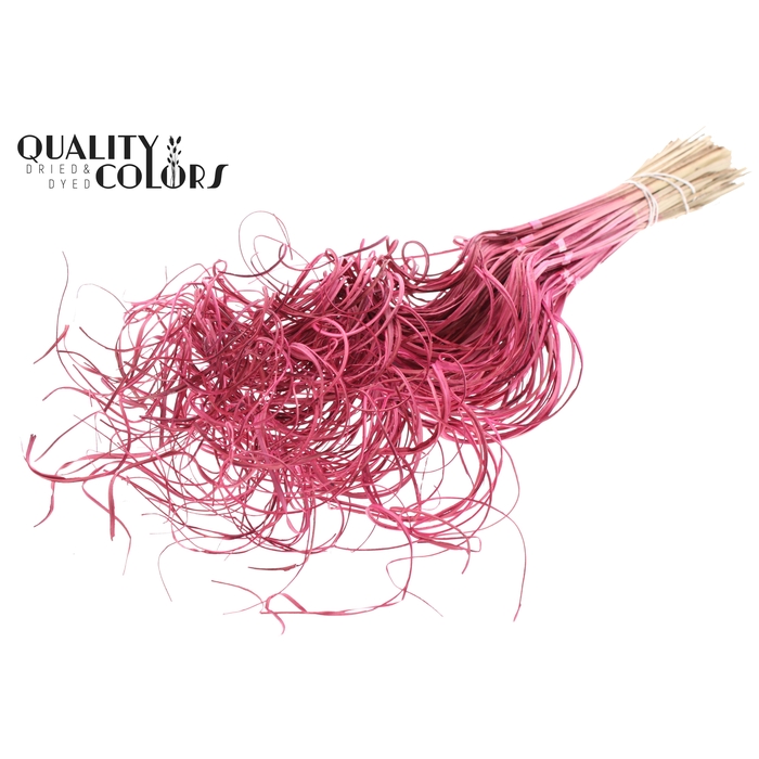 <h4>Palm Curly TT 3pc/tuft - 33 tuft/bunch Cerise</h4>