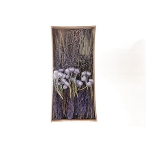 Box Stem Dried Flowers  Spring  Ass 350g L55