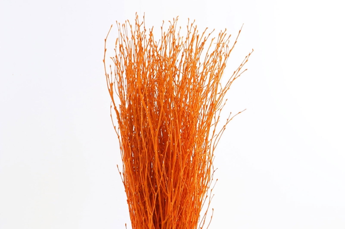 <h4>Berk Klb Orange</h4>