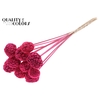 Atta Fruit on stem Intense Cerise