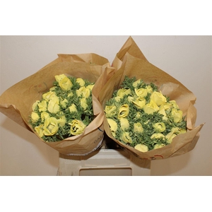 Anem Marianne Powder Yellow