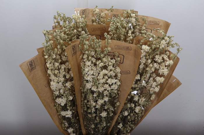 <h4>Deco Bunch Delphinium White Slv 100g L60</h4>