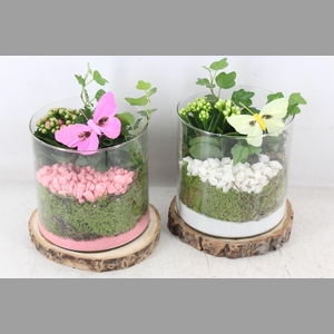 arr2 PL - Hout schijf cilinder - roze/wit