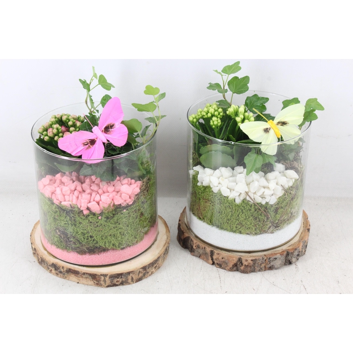 <h4>Arr2 Pl - Hout Schijf Cilinder - Roze/wit</h4>