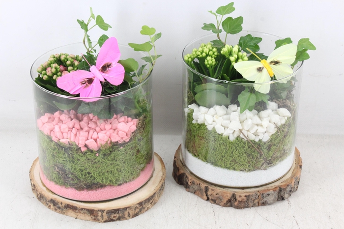 <h4>arr2 PL - Hout schijf cilinder - roze/wit</h4>