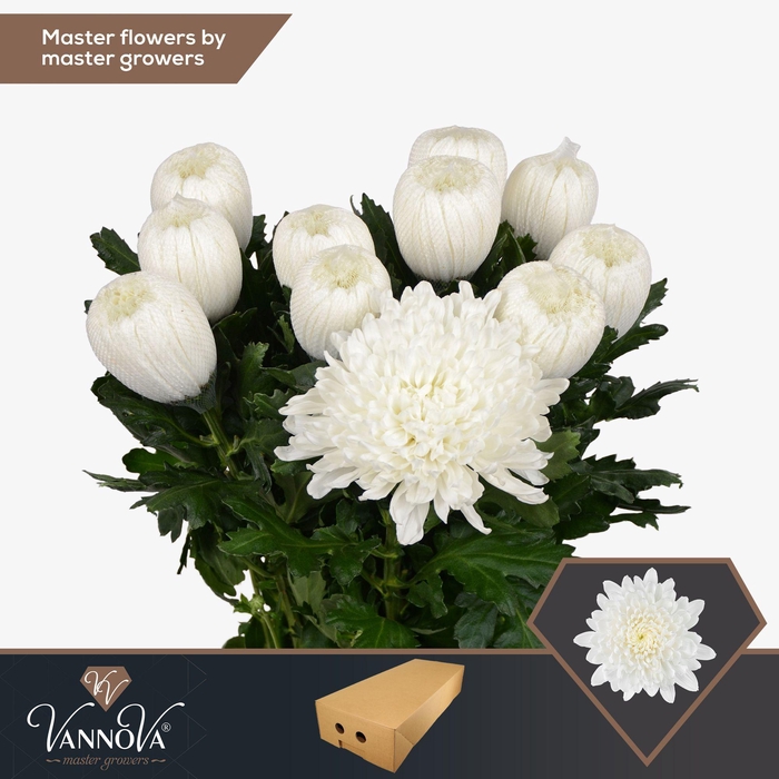 <h4>Chr G Gagarin</h4>