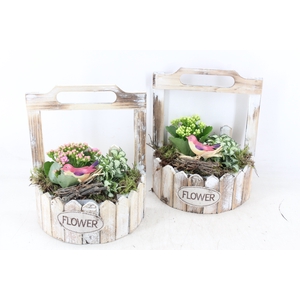 arr2 TD - Hout planter half rond - roze/wit