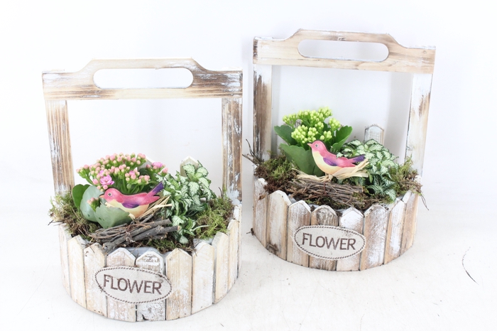 <h4>arr2 TD - Hout planter half rond - roze/wit</h4>