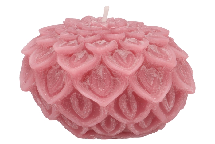 Candle Dahlia Old Dark Pink 15x10cm