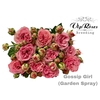 R TR OV GOSSIP GIRL GARDEN SPRAY