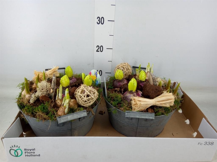 <h4>Arr.   Bol/Knolgewas L%</h4>