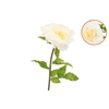Silk Amazing Peony Beauty Cream Xxxl 58x140cm