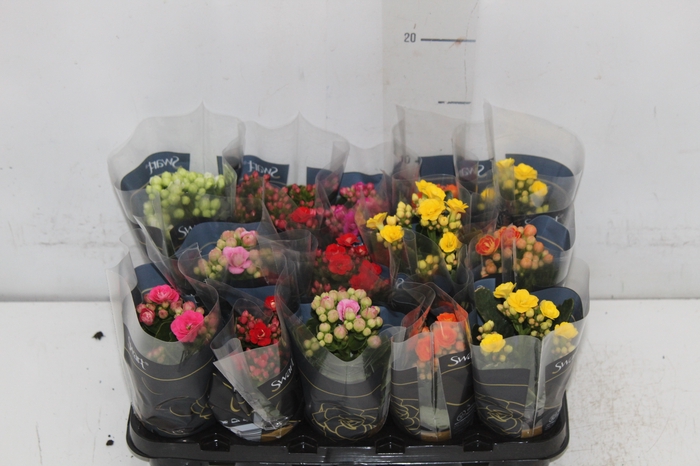 <h4>KAL. DOBRADO MINI P06</h4>