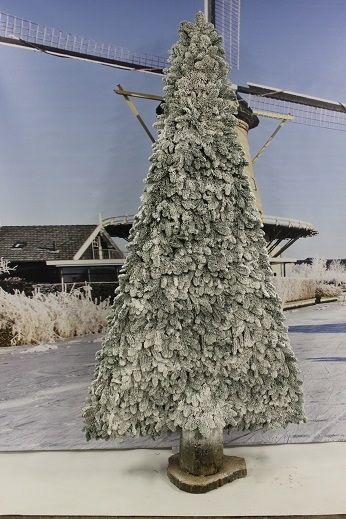 <h4>2D decoratieve bomen 2 zijdig op voet Nobilis sneeuw 100cm</h4>