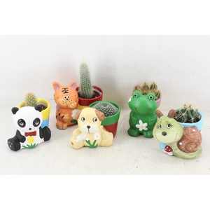 Arr2 Ub - Cactus Dieren Mix