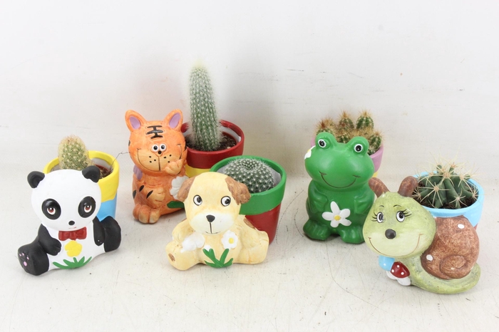 Arr2 Ub - Cactus Dieren Mix