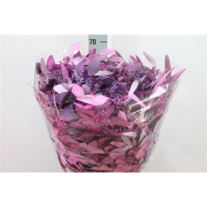 Euca Populus Bes Klb Metal Purple Mix 200 Gram