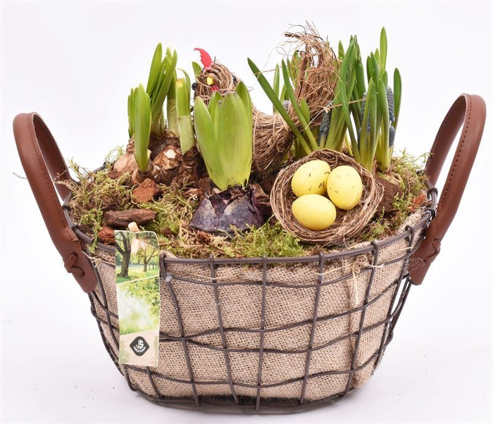 <h4>Gaasmand ovaal met jute 25x20cm</h4>