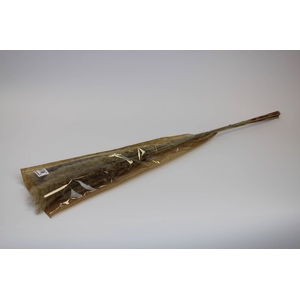 Cortaderia 80cm naturel