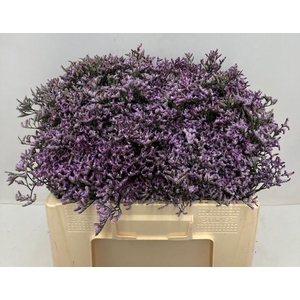 LIM SONS SAFORA LILA 45gr