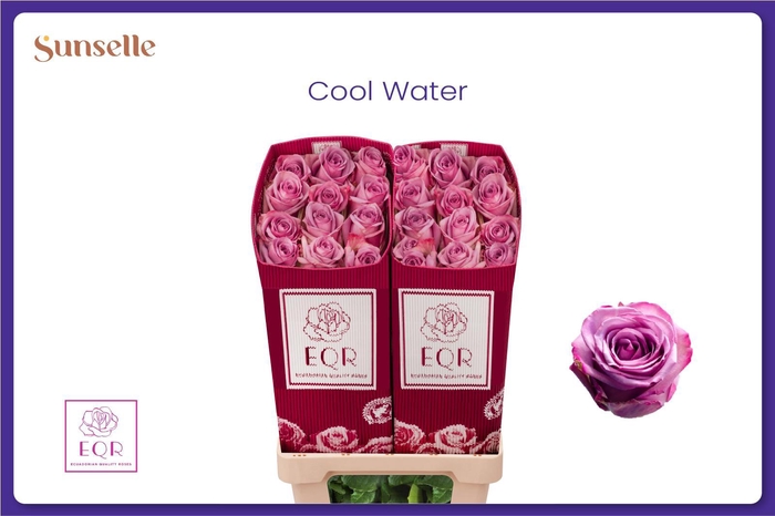 <h4>R GR COOL WATER!</h4>