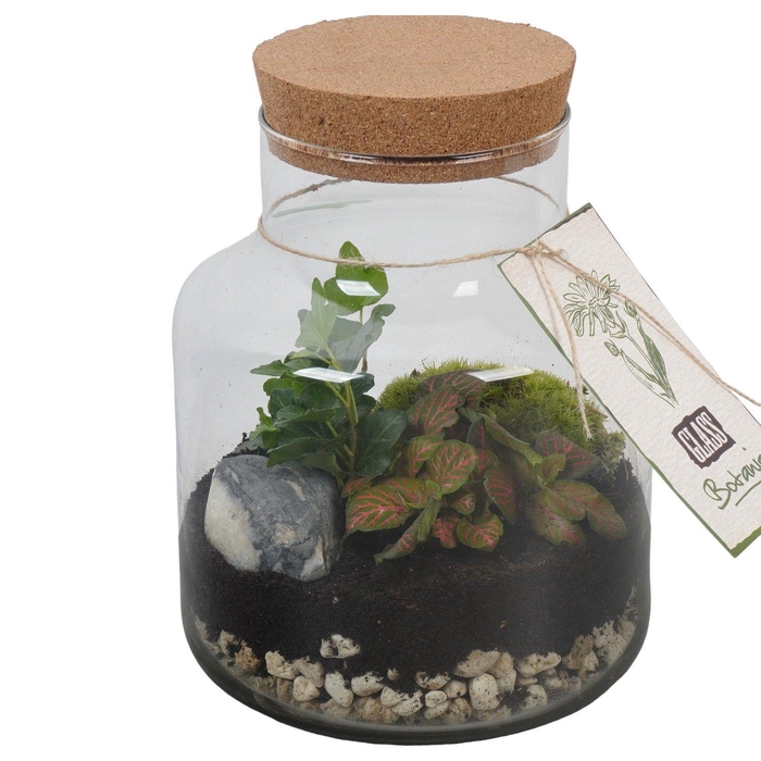 <h4>PTGIG2168 Arrangement Greens in glass in glazen terrarium</h4>