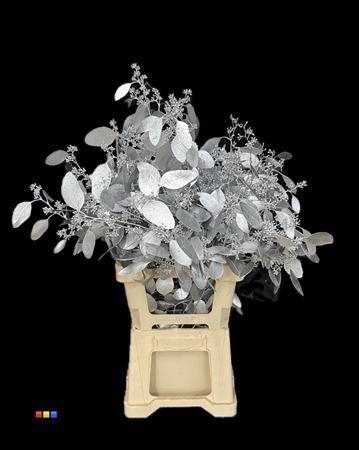 <h4>Populus Silver</h4>