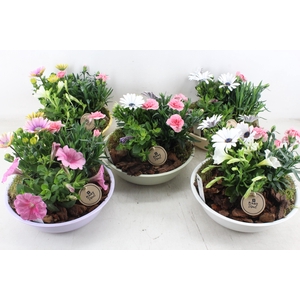 arr4 Outdoor PL - Zink schaal pastel mix