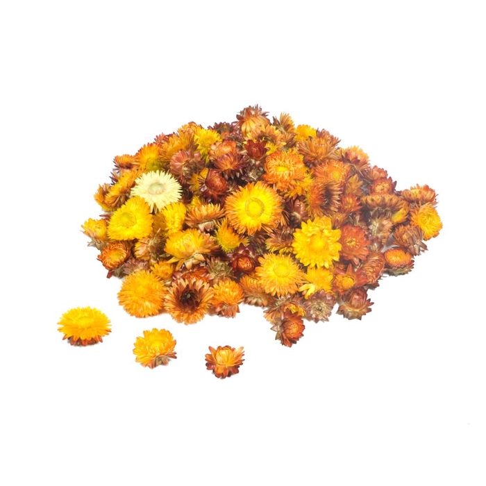 <h4>Helichrysum Heads Kg Natural Orange</h4>