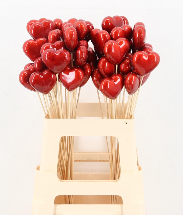 <h4>HARTJE OP STOK H%</h4>