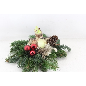 arr4 Amaryllis PL - Schijf kerstgroen Red x3