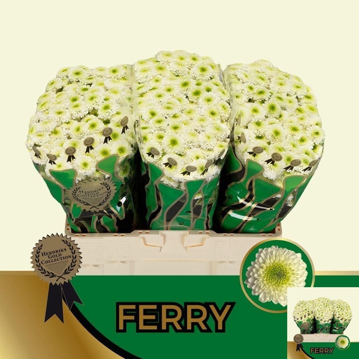<h4>CHR S FERRY</h4>