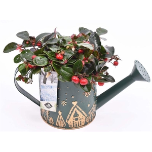 Zink gieter Kerstopdr. gro 10//24cm