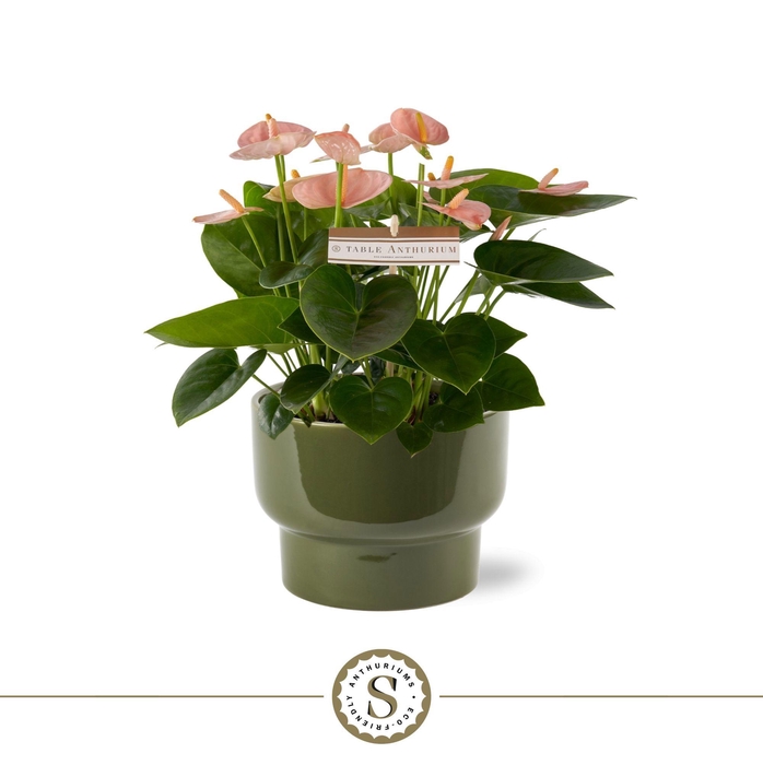 <h4>Athene Keramiek Green - Spirit</h4>