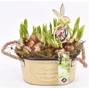 Zink ovaal met touw17x11cm