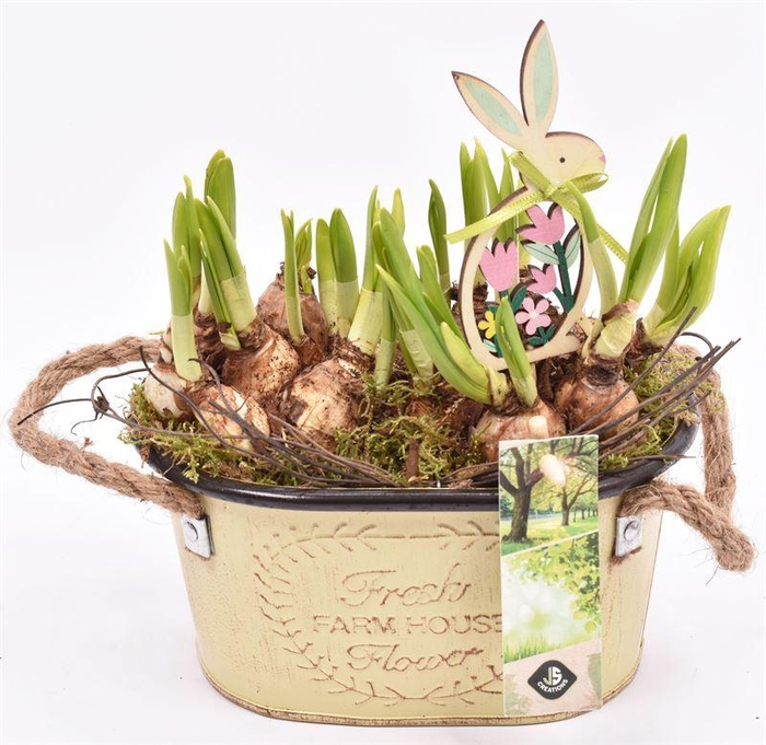 <h4>Zink ovaal met touw17x11cm</h4>