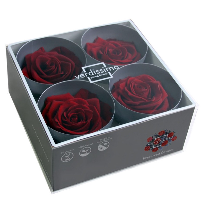 <h4>Roos premium burgundy</h4>