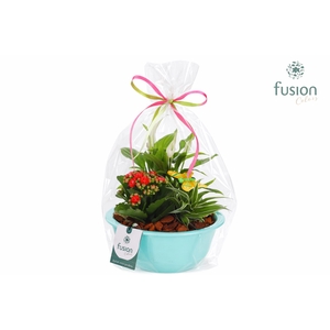 Zinken schaal met Arrangement