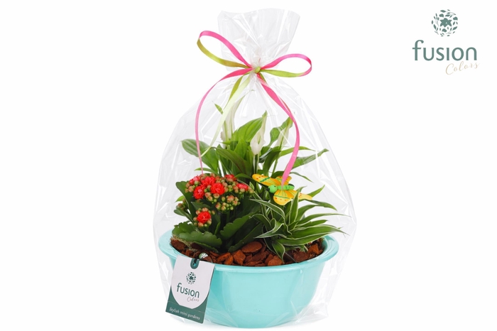 <h4>Zinken schaal met Arrangement</h4>