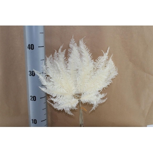 Japan Deco Mountain Fern White 10 Pcs