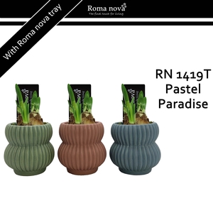 1419T - Pastel Paradise (Tete a Tete)