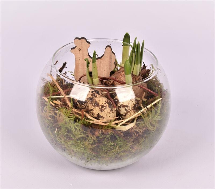 <h4>Glas bol 15 cm</h4>