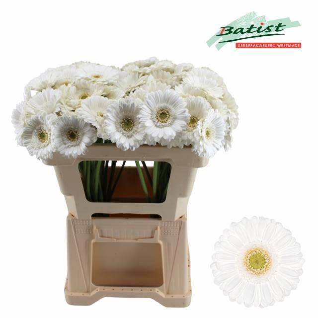 <h4>GE MI LOBBY</h4>