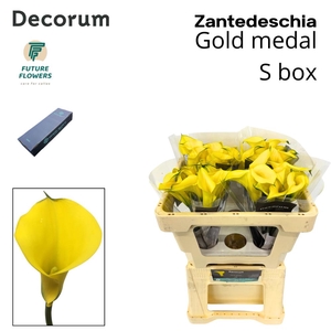 Zant Gold Medal Small Box 50 Cm 40 St.