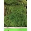 LEP VI GWELO GREEN