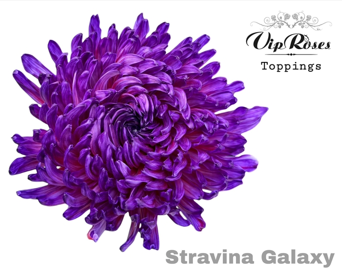 CHR G STRAVINA GALAXY