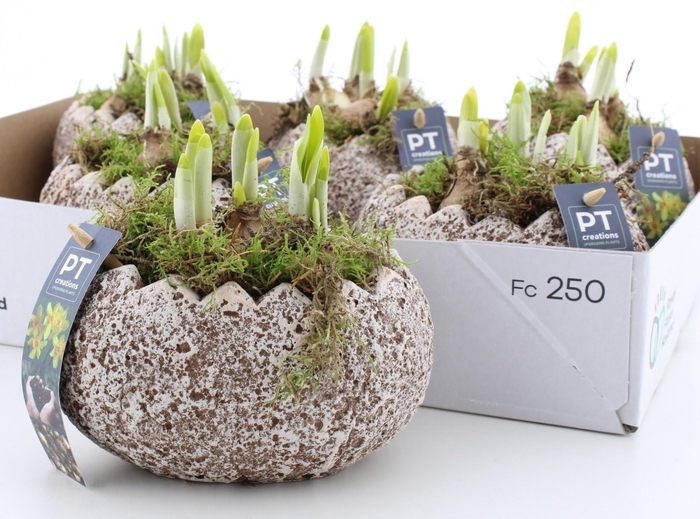 arr8 Arr N Tete A Tete In Beton Ei