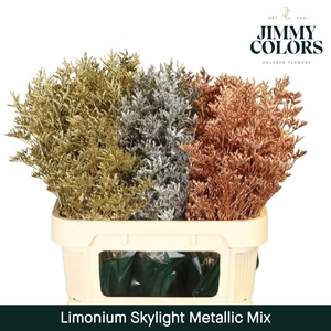 Limonium Skylight L80 Mtlc. mix