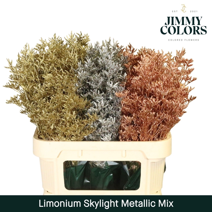 <h4>Limonium Skylight L80 Mtlc. mix</h4>