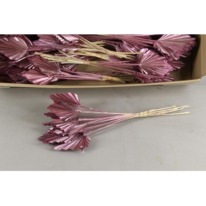 DF Palm Spear Small Antiq Pink